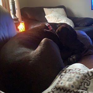 Meet your Posher, Joe